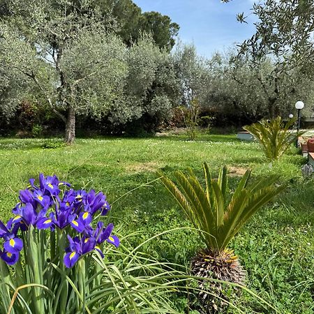 Вілла La Piccola Provenza Ф'яно-Романо Екстер'єр фото