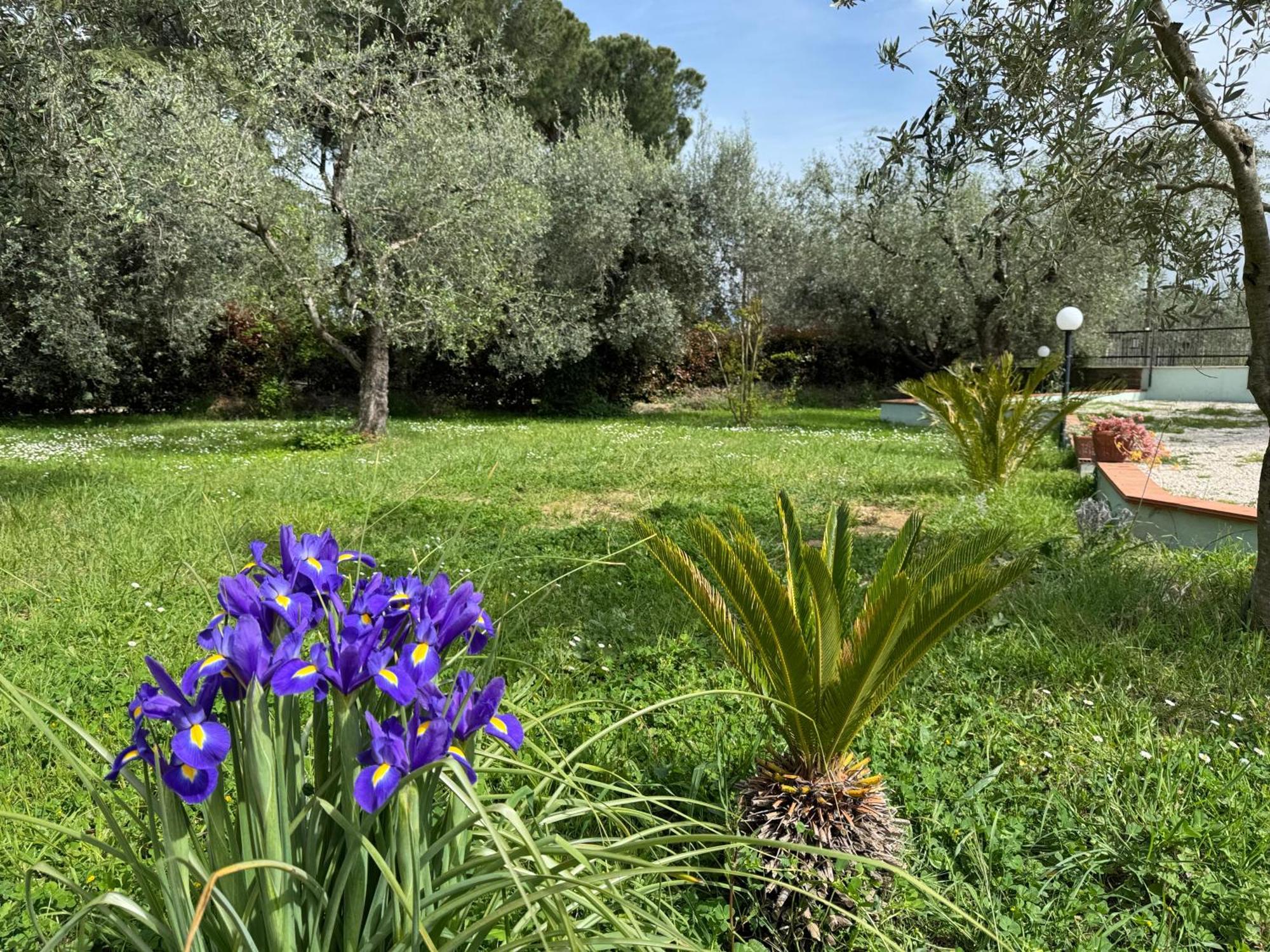 Вілла La Piccola Provenza Ф'яно-Романо Екстер'єр фото